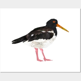 Oystercatcher Posters and Art